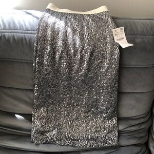 sheer lined silver sequined Zara knee length skirt- NWT